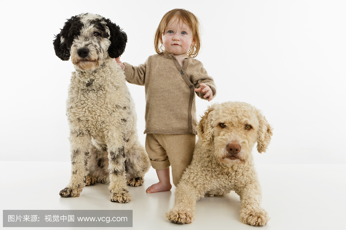 一个有两只狗的女婴