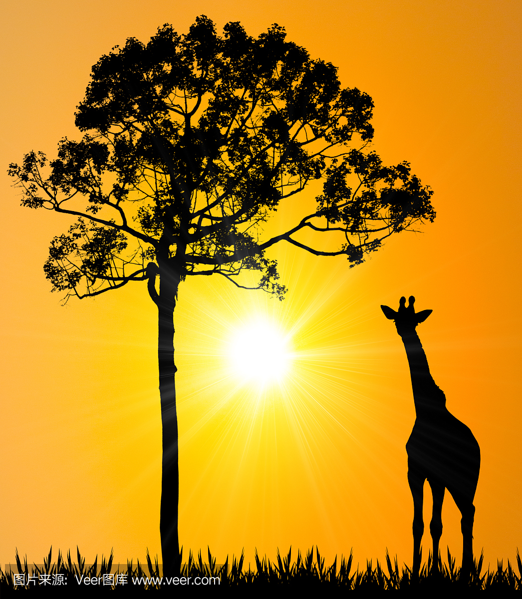 长颈鹿在草与大树和日落
