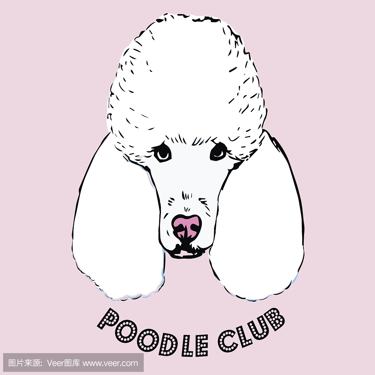 贵宾犬,贵妇犬,一种智力很高的狮子狗,狮子狗