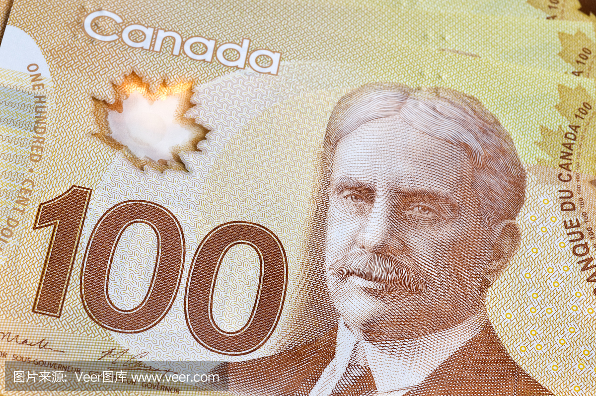 新加拿大货币