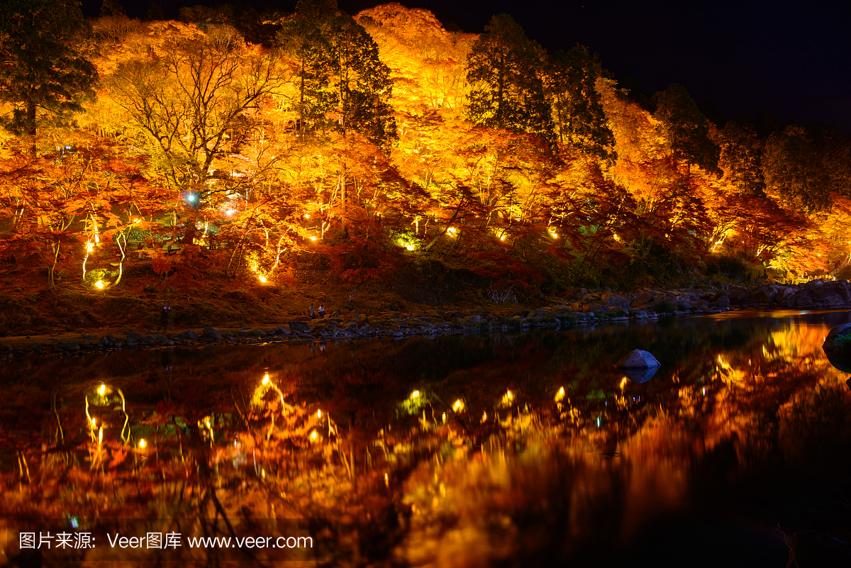 秋天的树叶在Korankei,爱知县,日本