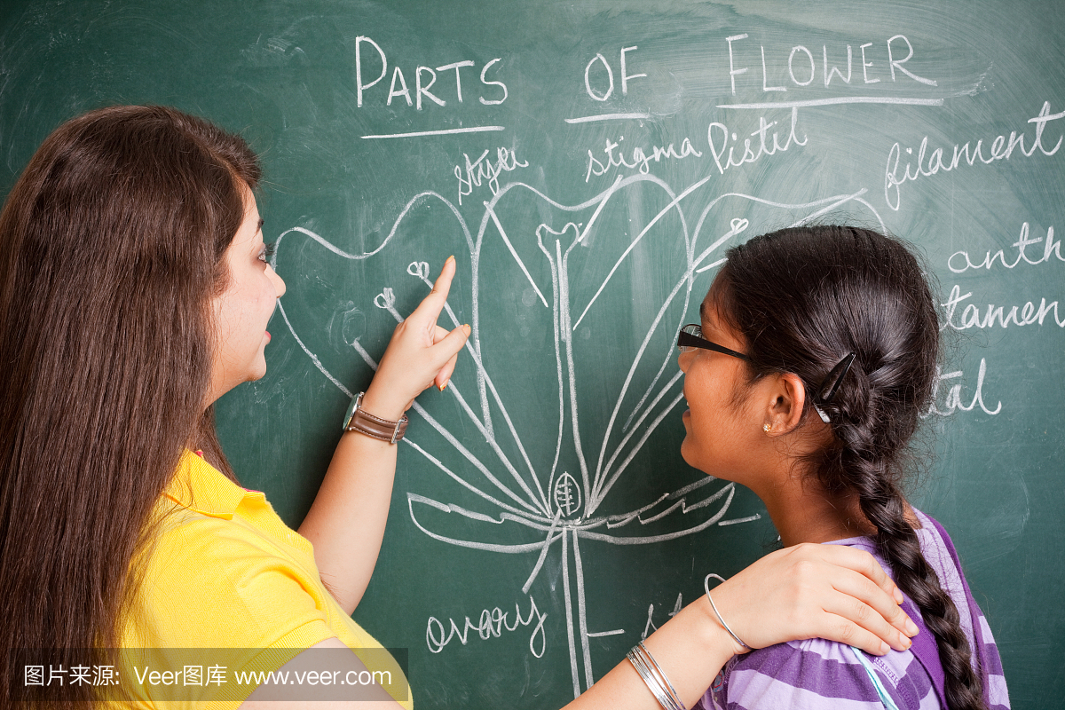 印度学校老师向女学生展示花粉笔画