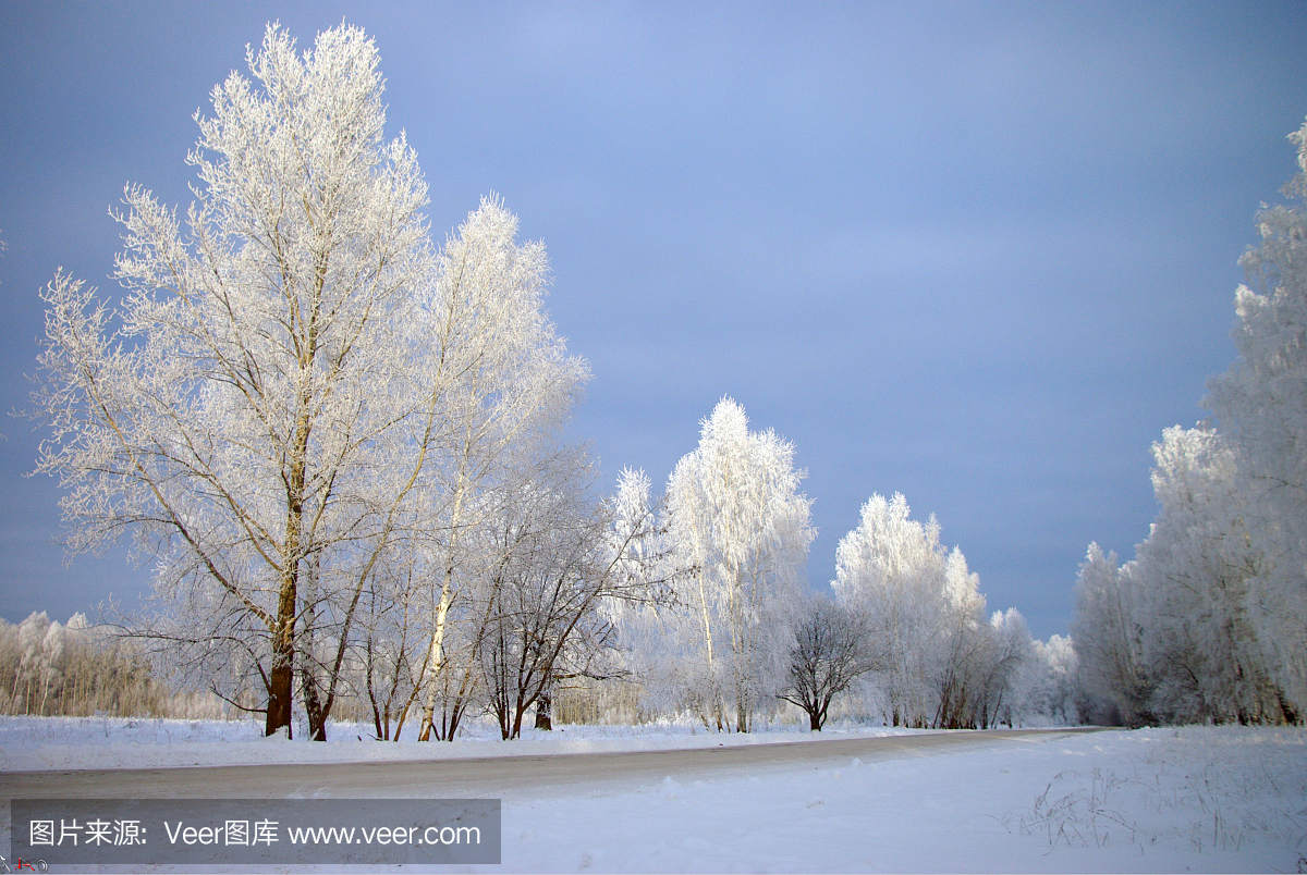 冬季,冬季,冬季,冬眠,一年中最冷的季节,12月至