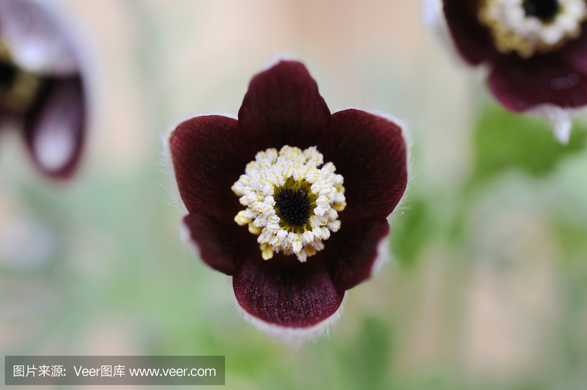 高知县,日本高知县,日本四岛国中南部港市,四国