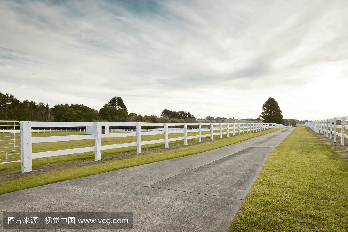 country fenced field with pathway
