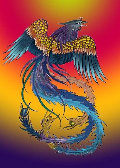 霞光里的神鸟凤凰纹身手稿