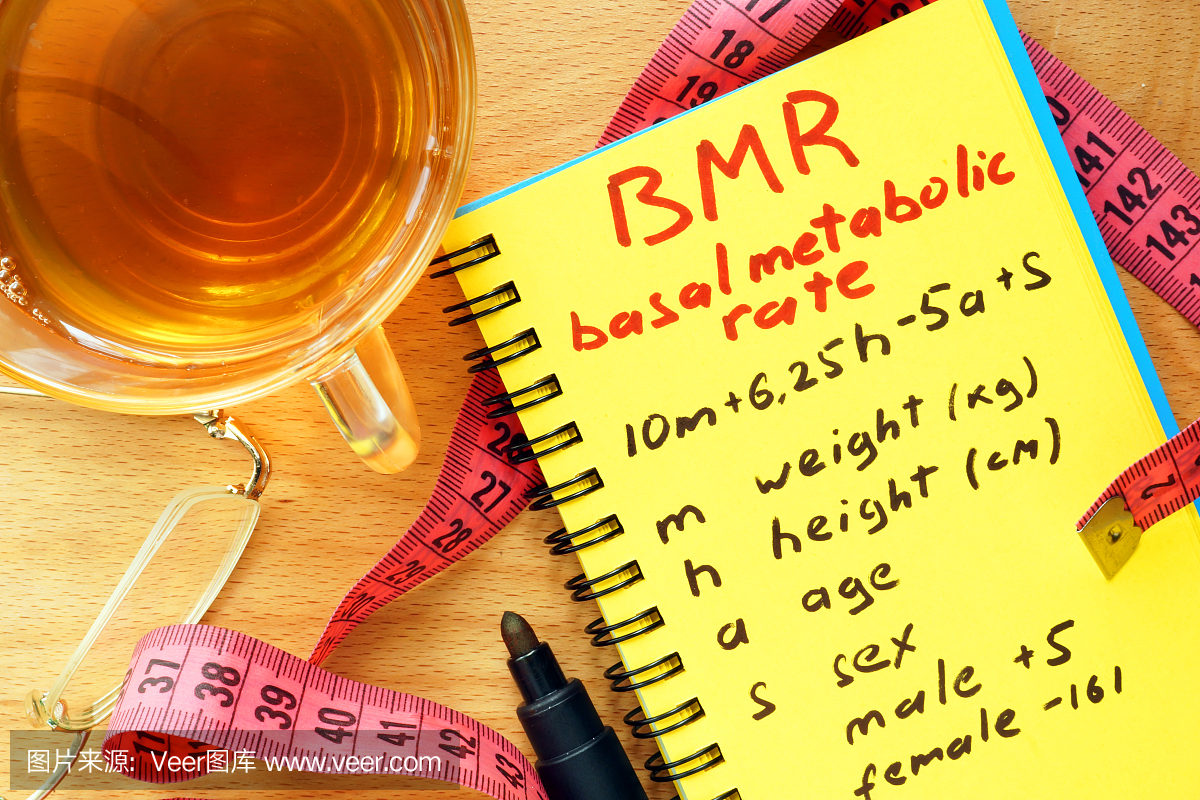 BMR基础代谢率公式在记事本中。