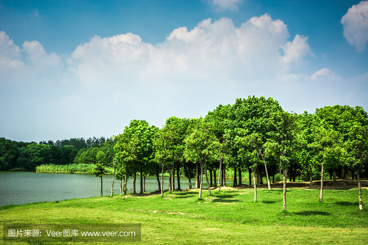 美丽的湖花园与反思