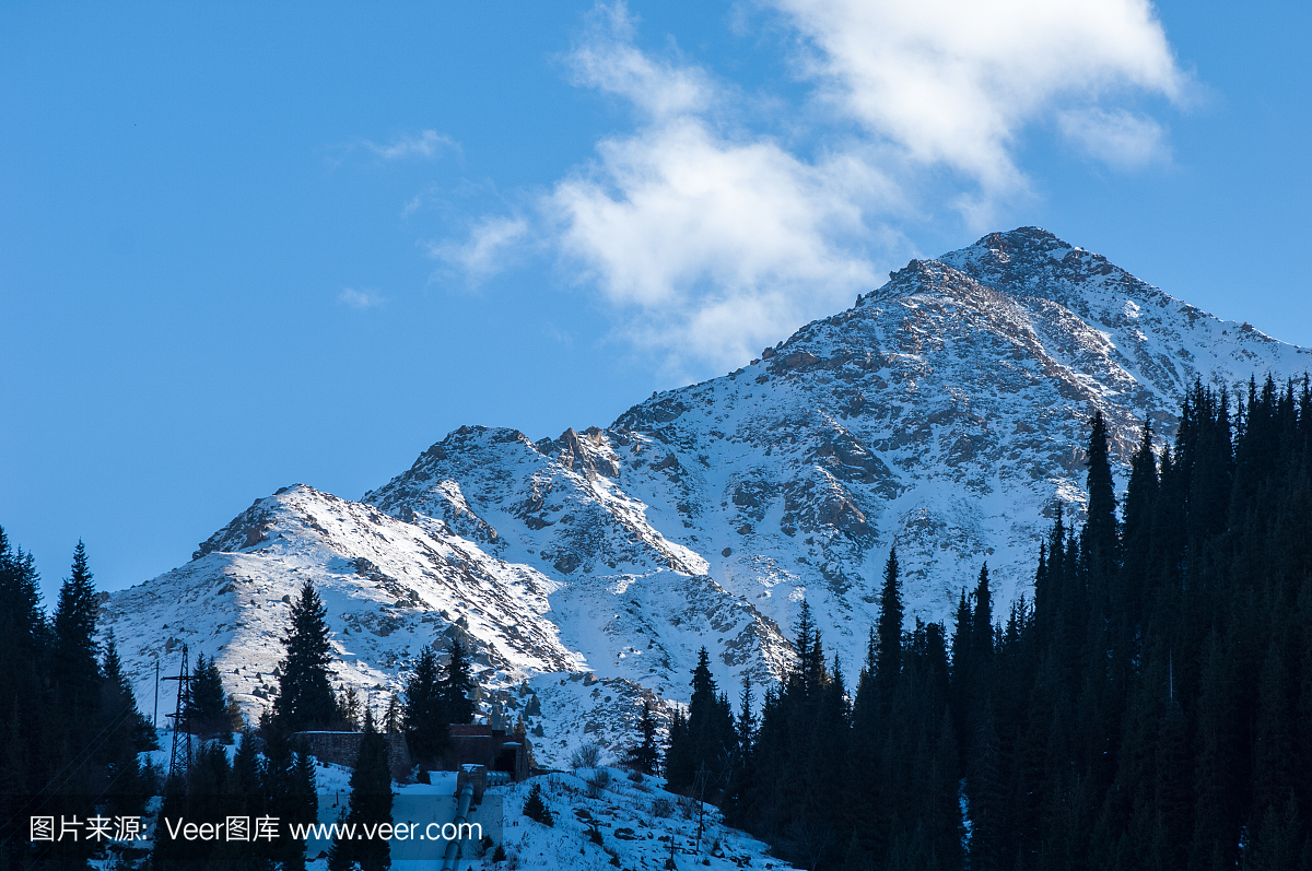 颤抖,冷地发抖,抖动,哆哆嗦嗦