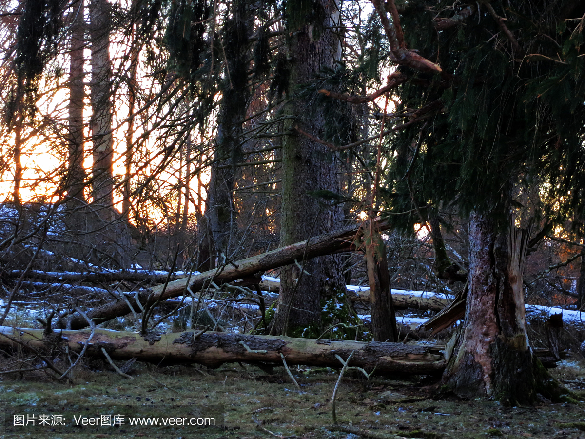 拜洛西,比洛克西,台风,旋风
