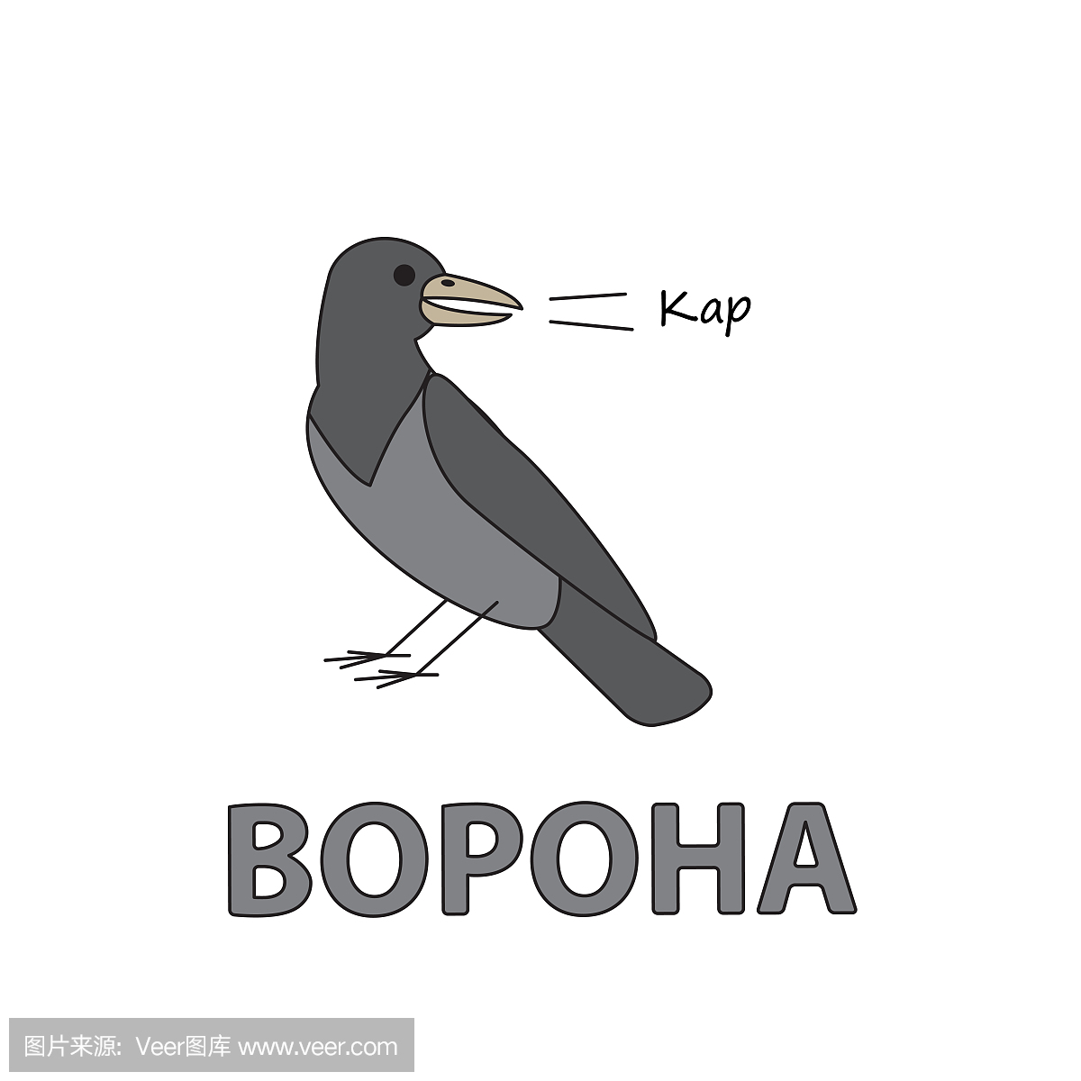 乌鸦,鸦,英语,英语语言