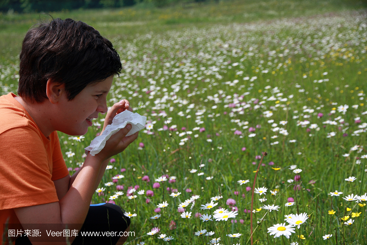 过敏儿童花粉和花与手帕