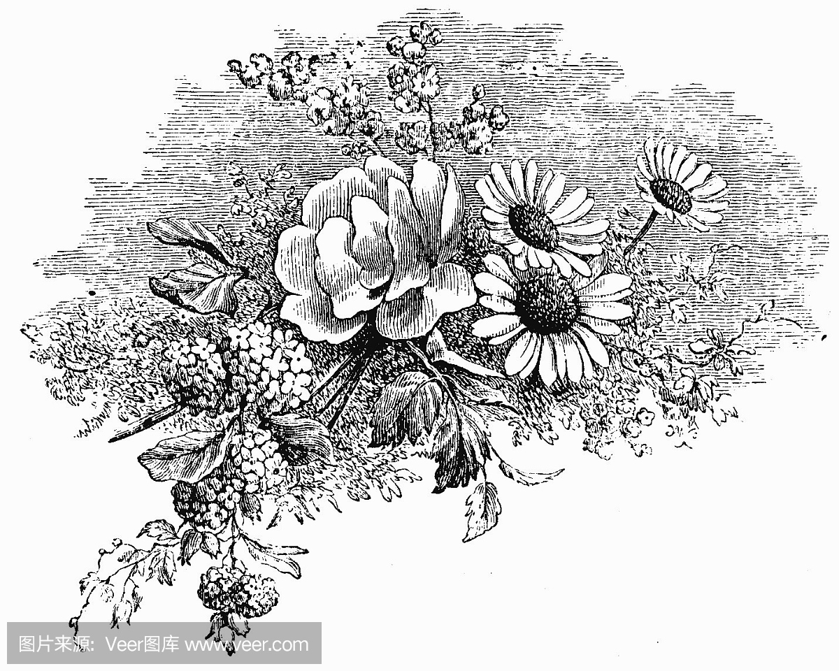 木版画,木刻,蚀刻版画,铜板蚀刻画