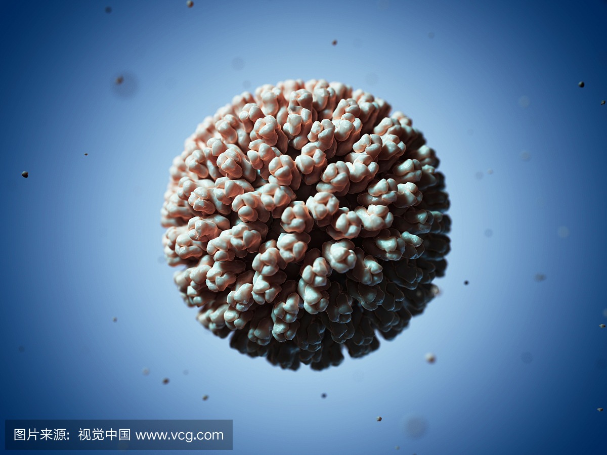 轮状乌鸡颗粒,艺术品病毒胡萝卜汤图片