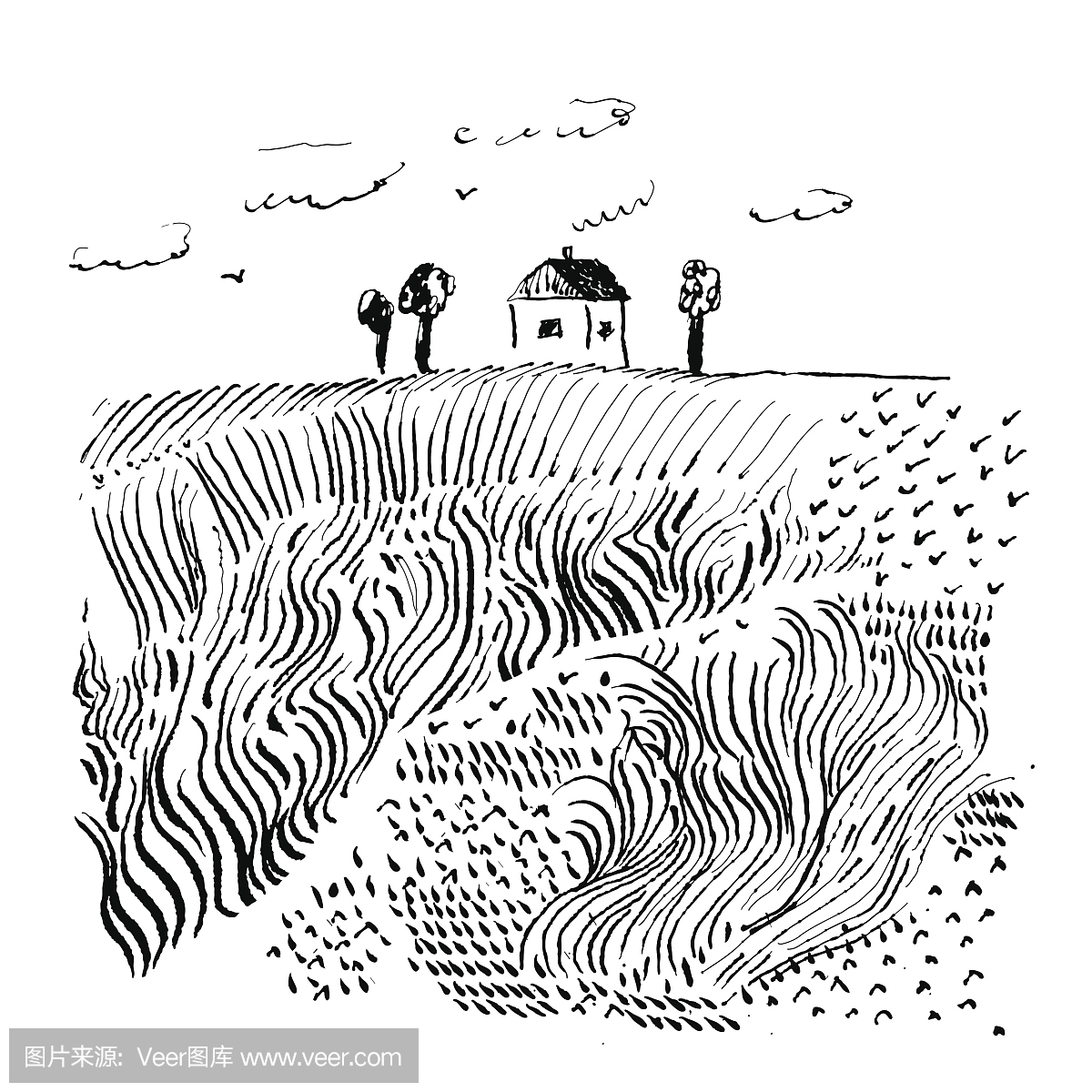 日文,日本的,片假名,平假名