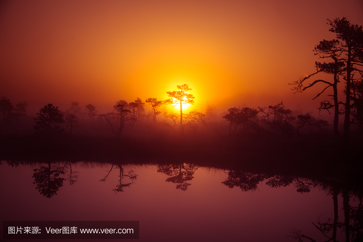 一个美丽的,梦幻般的早晨的太阳升起在迷雾笼