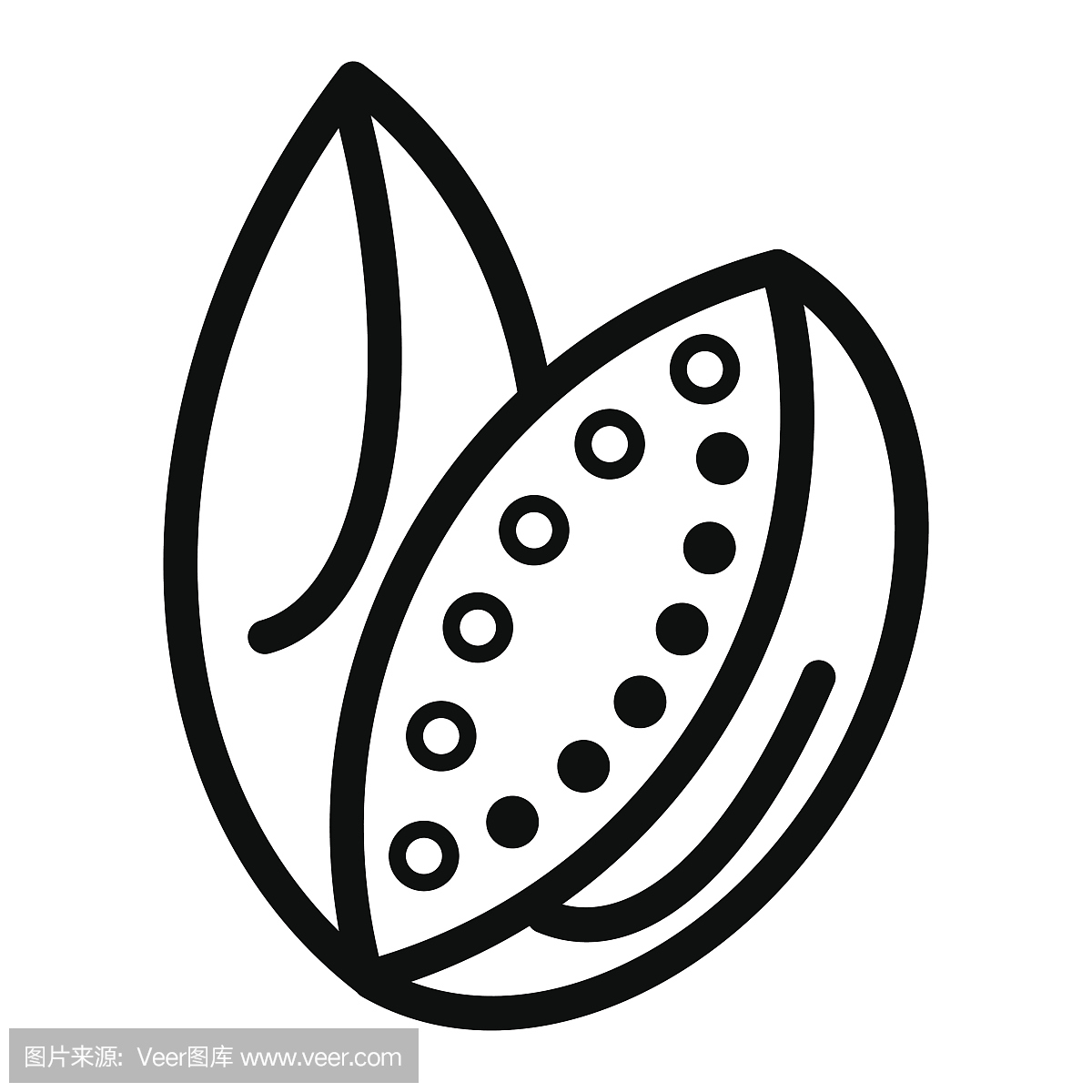 加利亚瓜在线设计孤立在白色背景上。蜜瓜