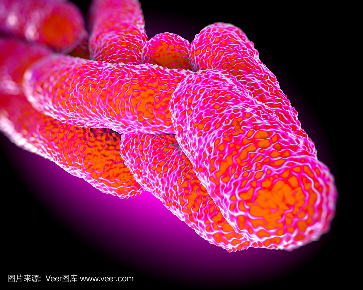 军团菌肺炎杆菌细菌,艺术品