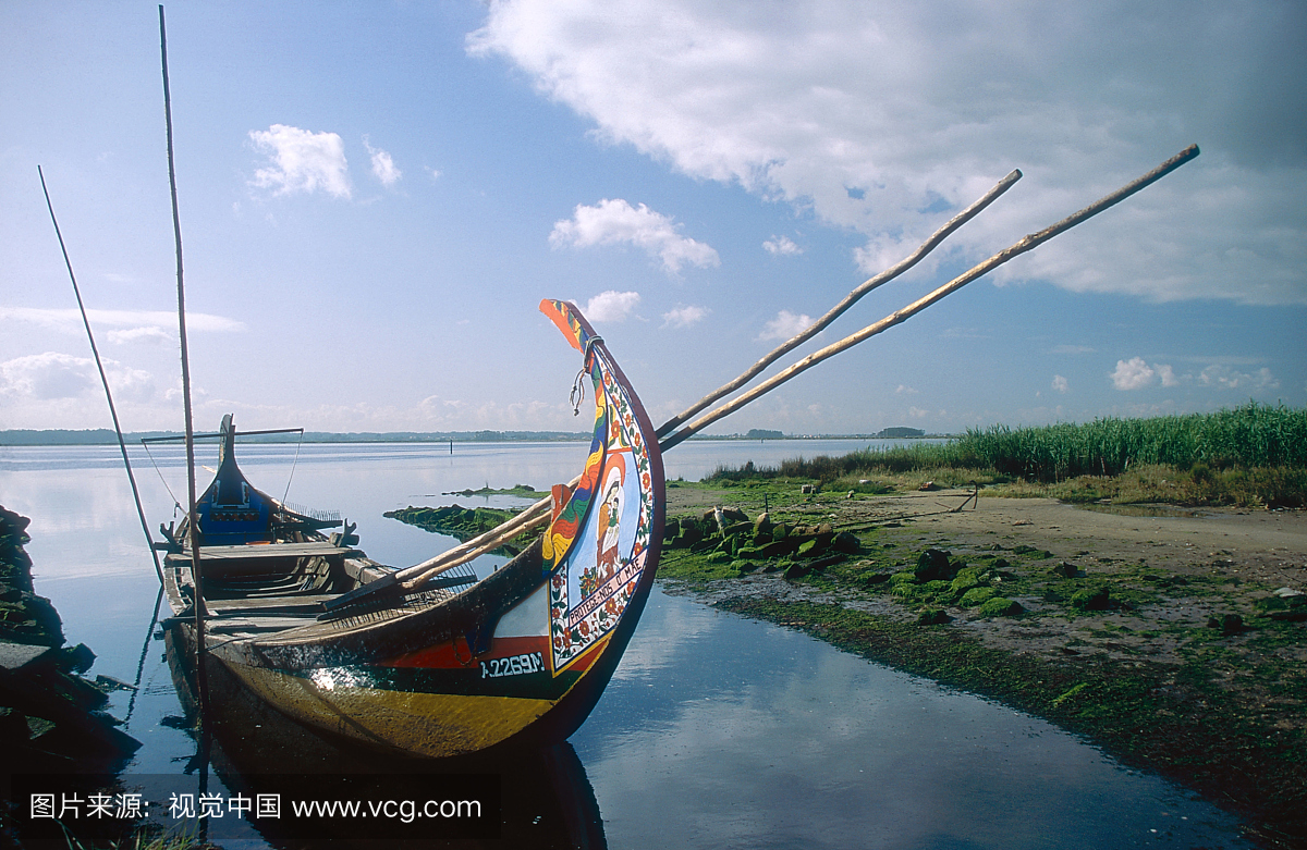海藻聚集船,几乎不变腓尼基设计,托雷拉
