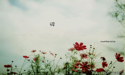 彼岸花唯美意境壁纸-296kb