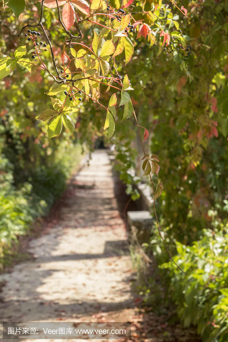 托马尔,托马尔地区,迷宫游戏,闯迷宫