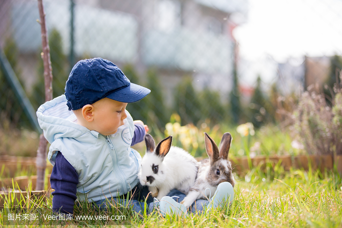 可爱的小宝贝男孩,小孩在公园玩小兔子