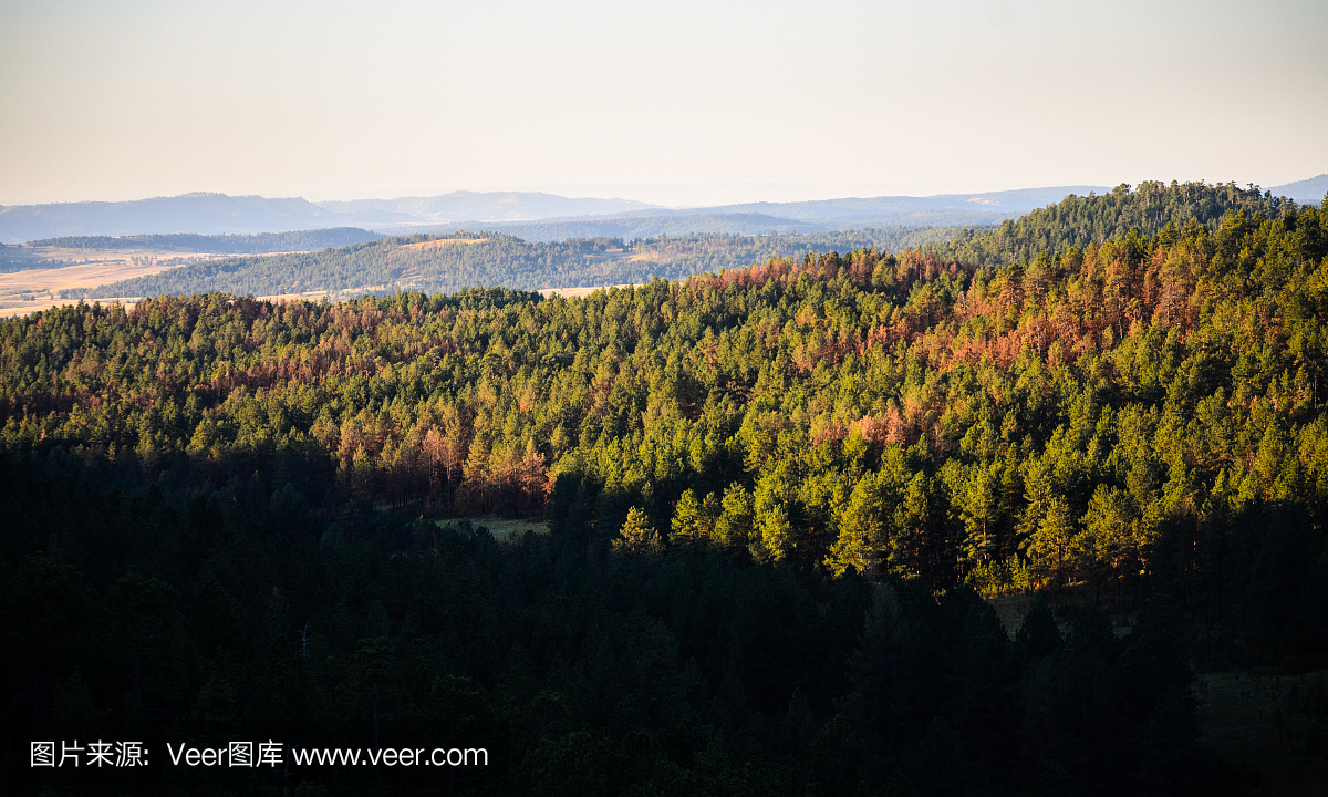 西奥多·罗斯福总统,老罗斯福总统,第26届美国