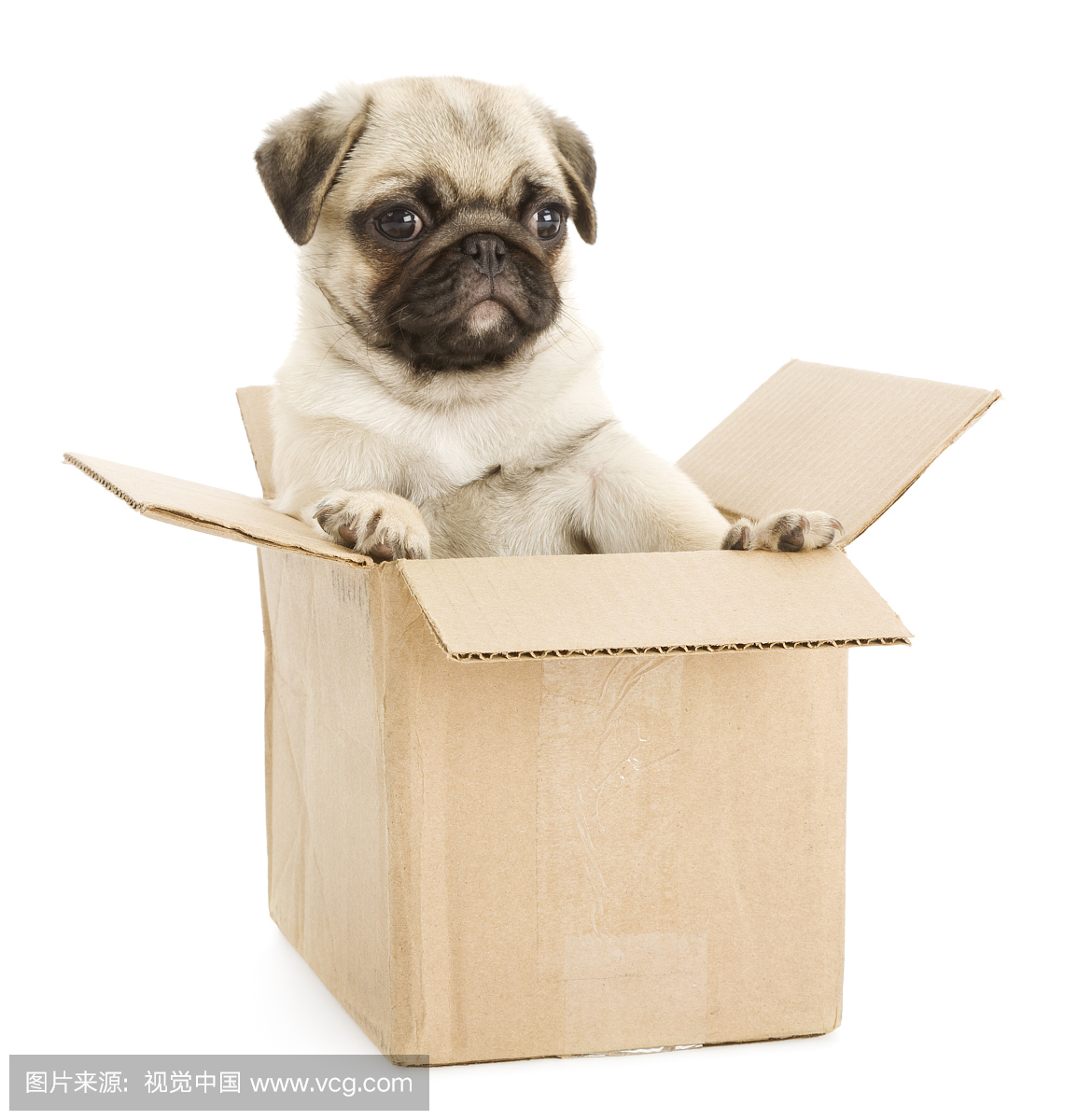 盒子,收纳盒,匣子,箱