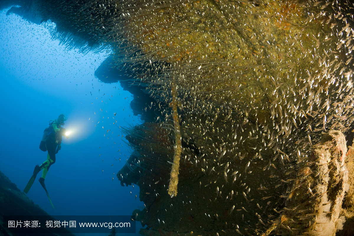 潜水在HIJMS长野战舰,比基尼环礁,密克罗尼西