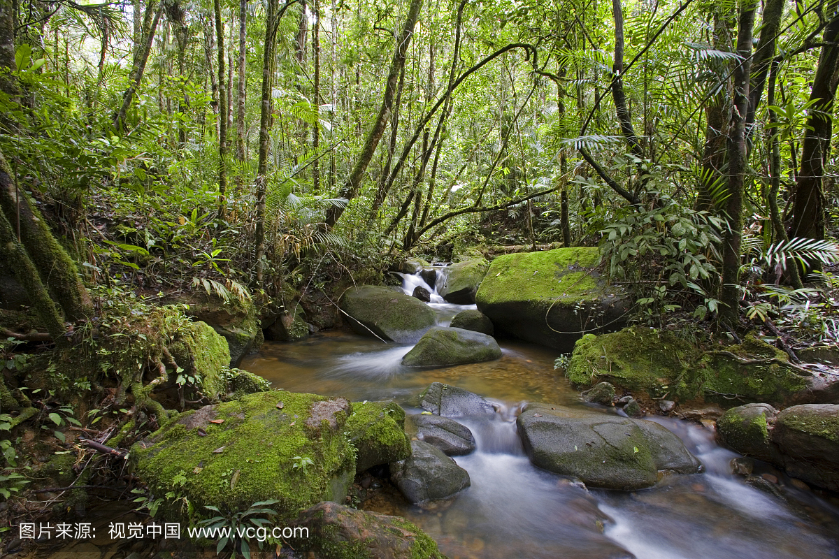 热带雨林和瀑布在靠近京那巴鲁国家公园,沙巴