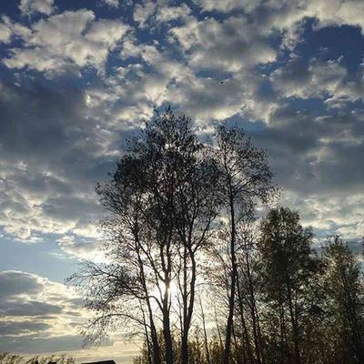 #мысли_в_слух #мысли_в_слух