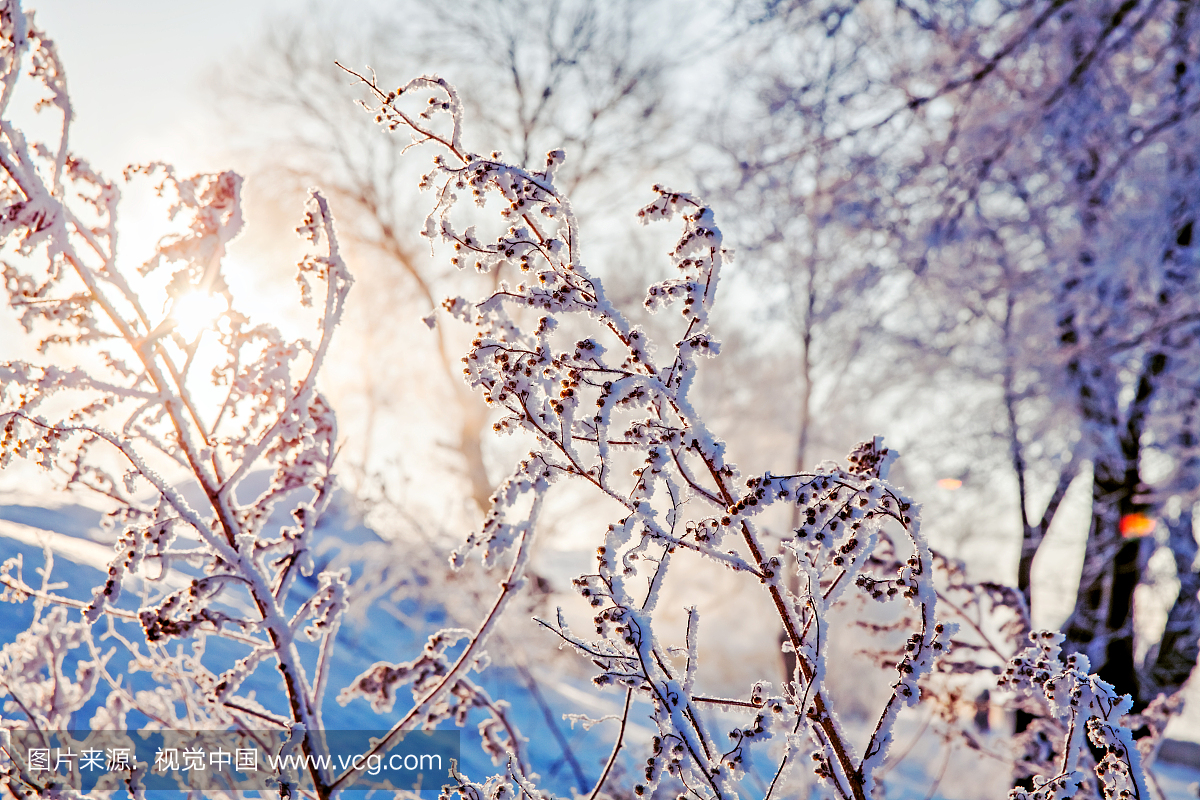 东北,东三省,东北风情,下雪