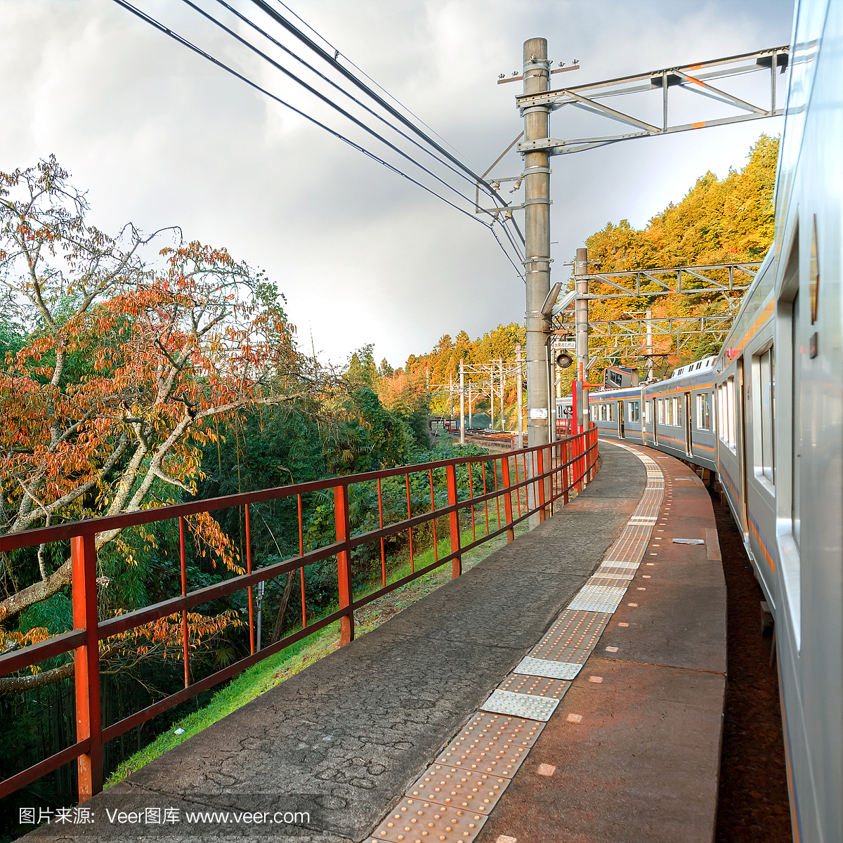 高野山,高野大山,和歌山县,本州岛西南岸港市巴南蒸汽石锅鱼图片