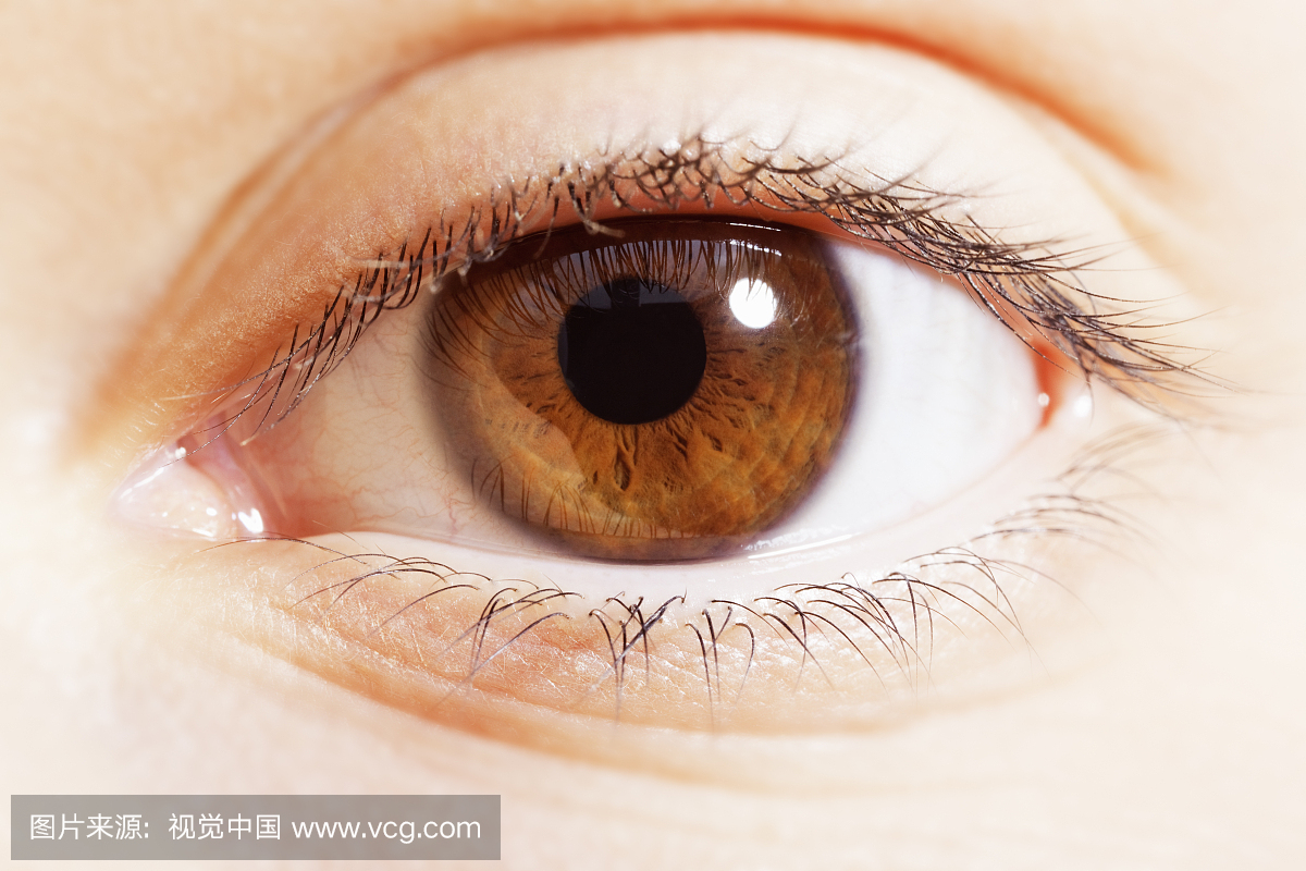 眼球,眼珠子,瞳孔,眼珠