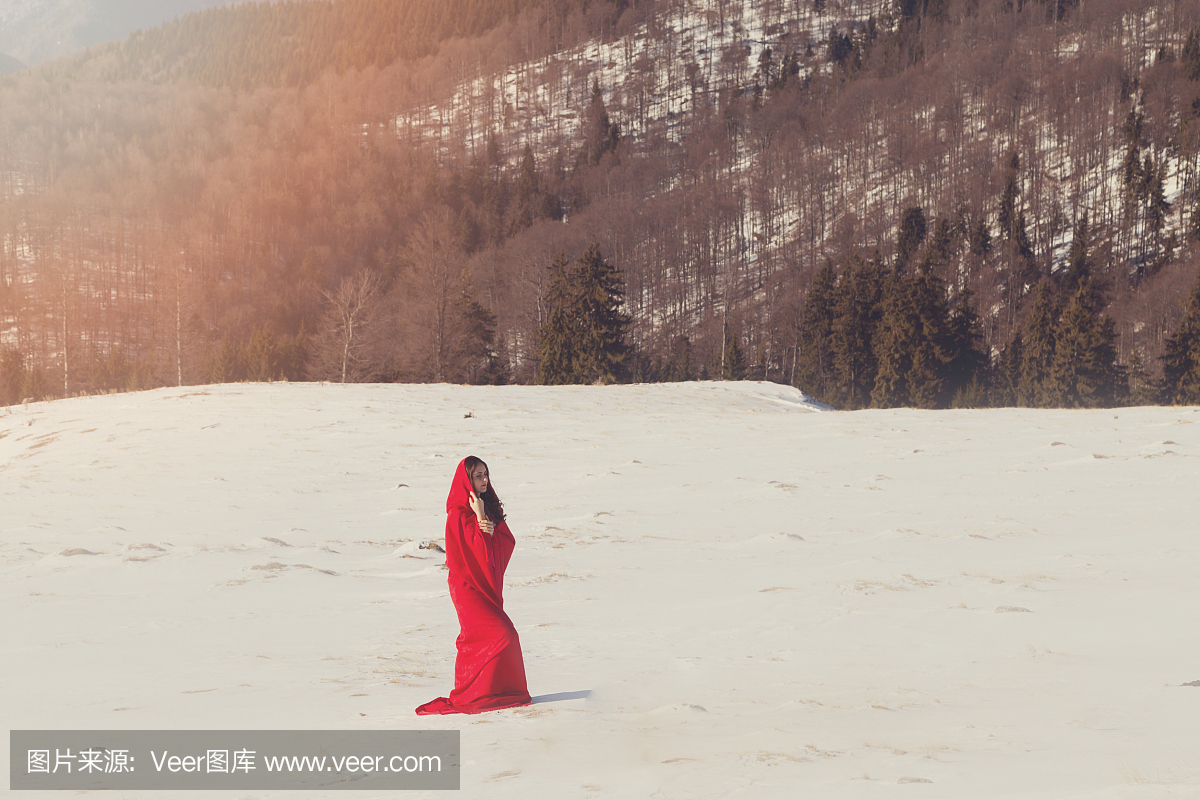 一个女士的冬天肖像吹几杯雪