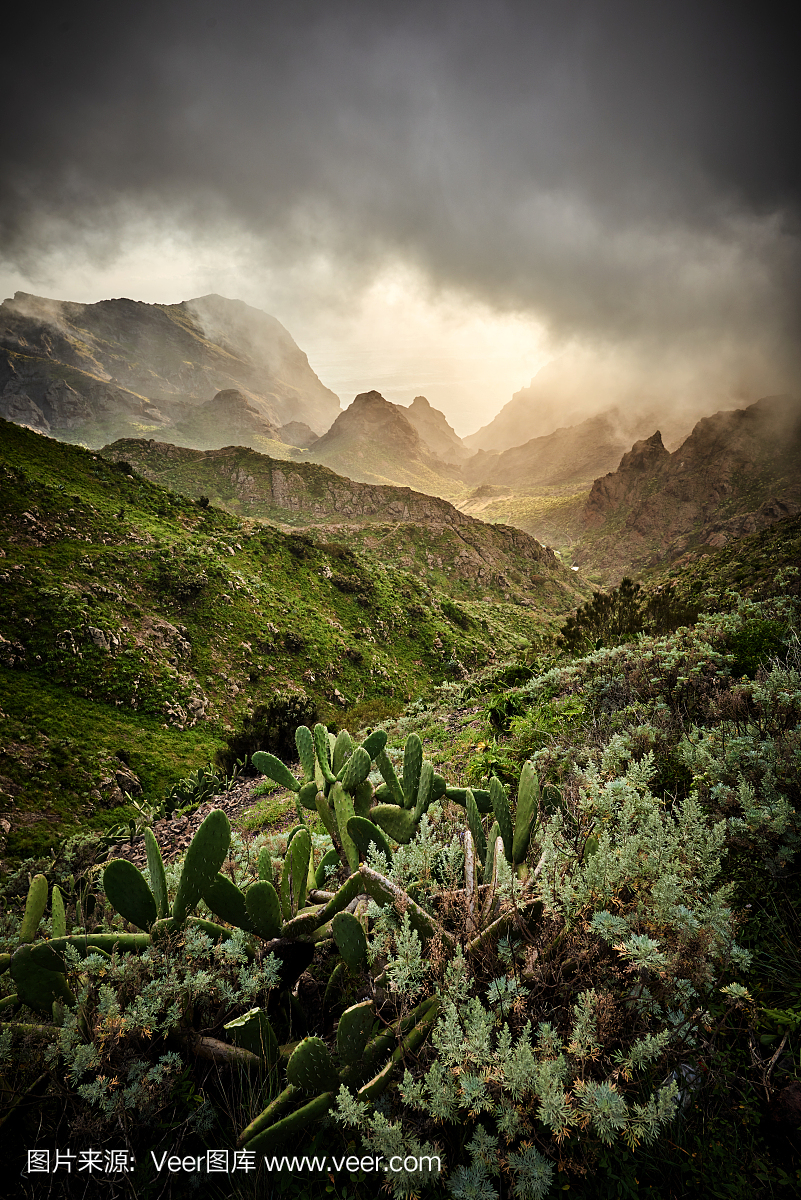 在特内里费岛惊人的特诺山