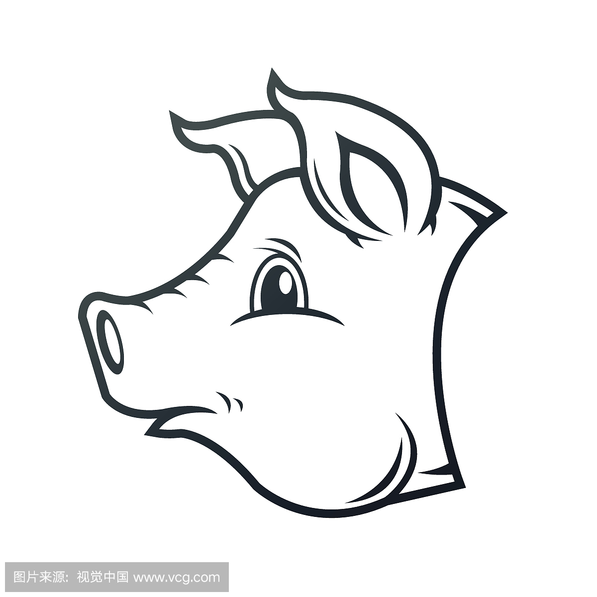 猪,肥猪,小猪,卡通