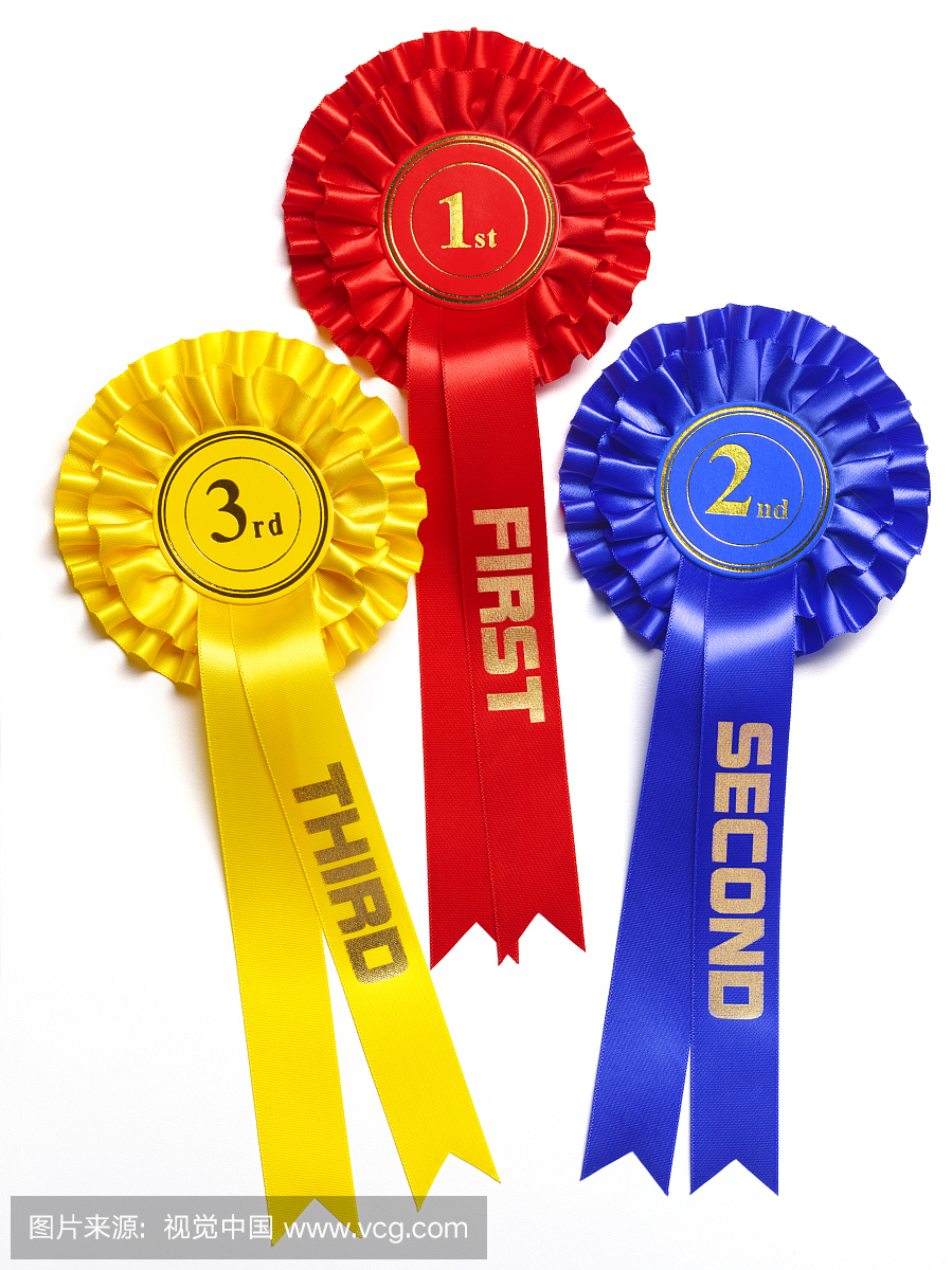 骄傲,多样,选择,竞争