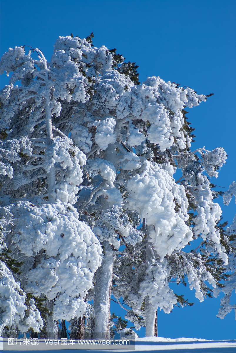 冬天在山navacerrada马德里,西班牙