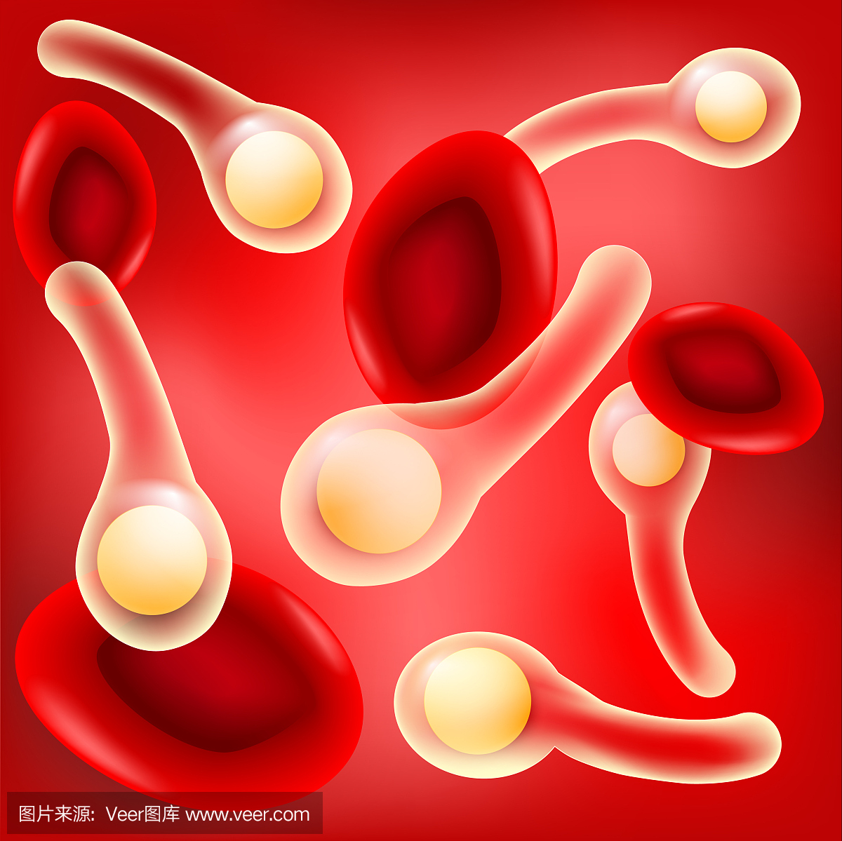 红血细胞和与孢子的破伤风梭菌在红色背景。