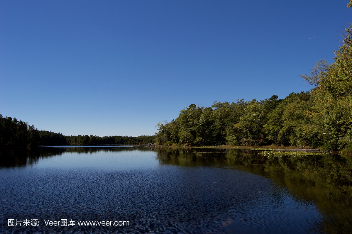 松木荒地,百瑞斯松林,白瑞思松树,拜伦斯松林