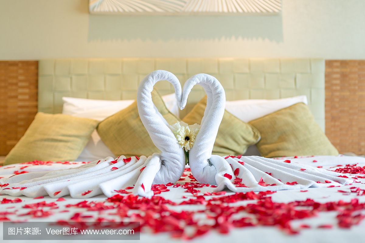 美丽的红玫瑰花和夫妇天鹅设计从毛巾装饰在蜂