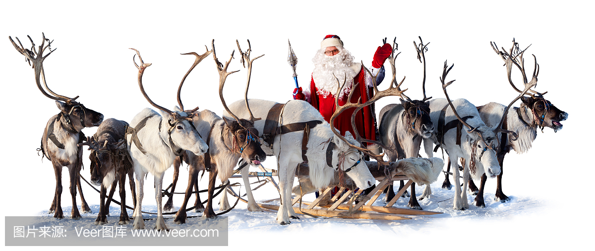 圣诞老人和他的鹿