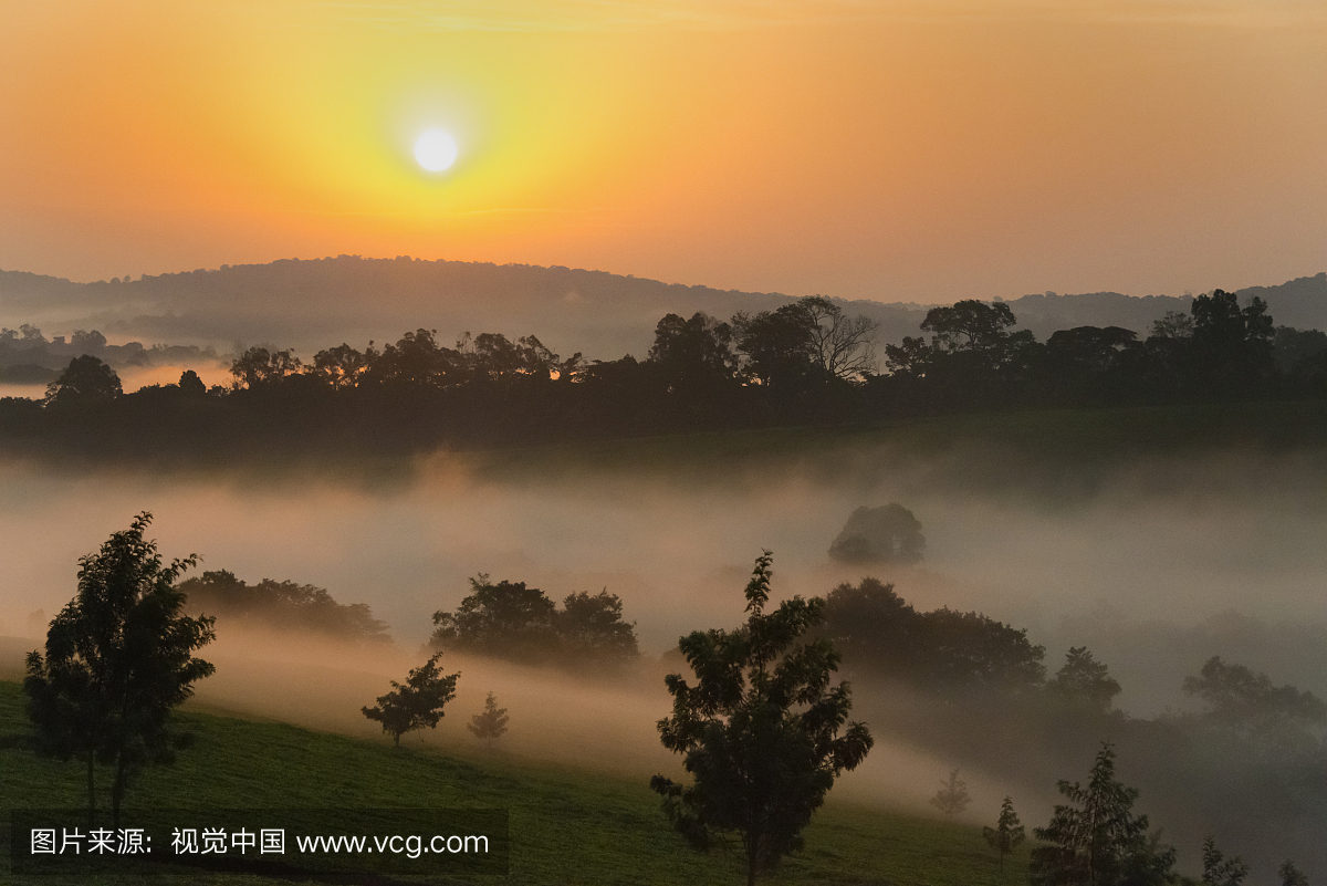 晨雾中的森林,乌干达基巴莱国家公园
