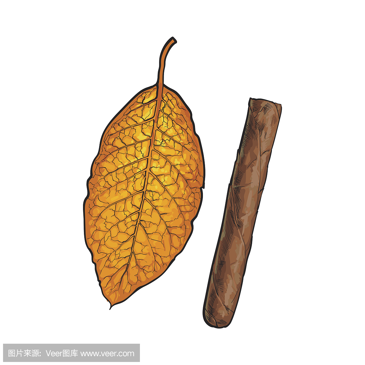 烟草,烟草制品,烟丝,烟叶