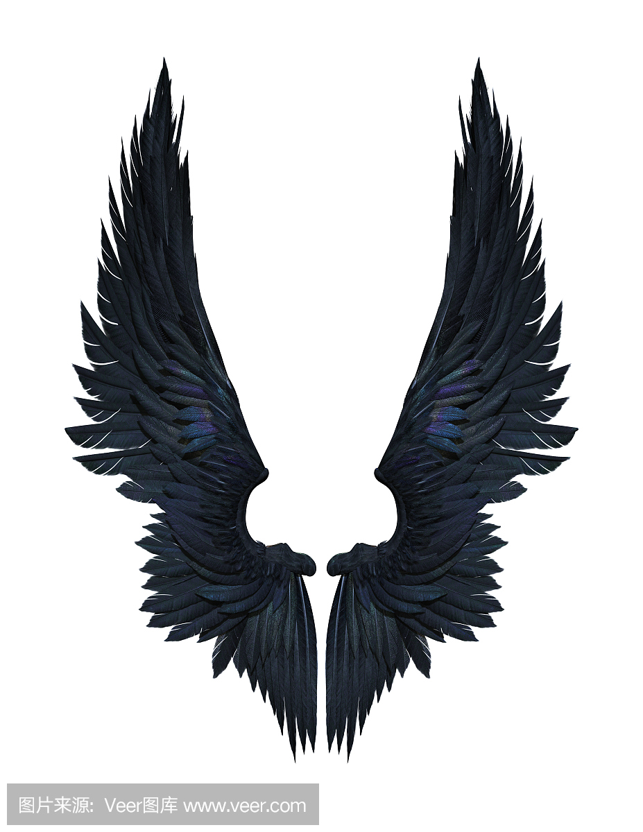 恶魔的翅膀，在白色背景上孤立的黑翅膀全身羽毛