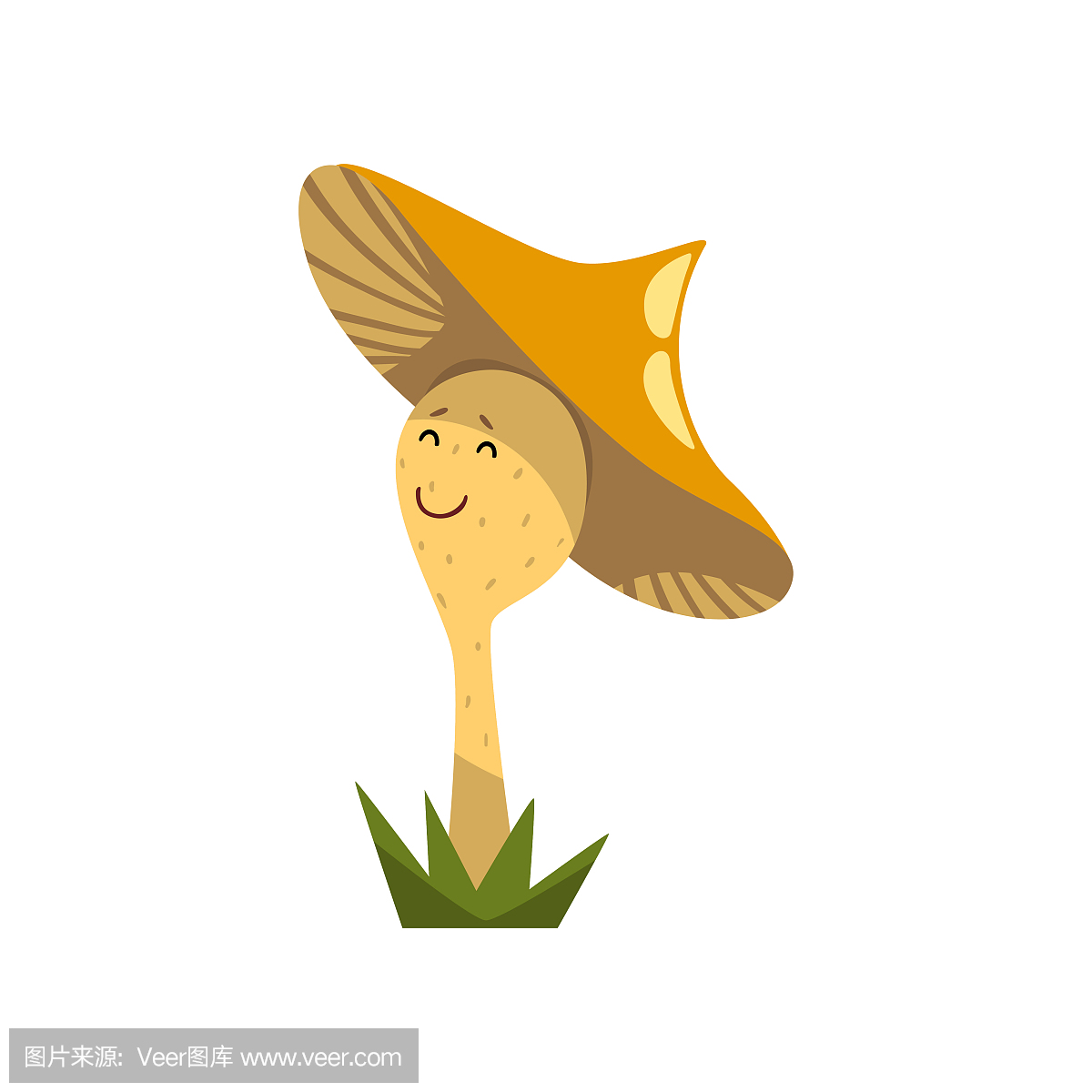 人的脸部,面部,面孔,脸型