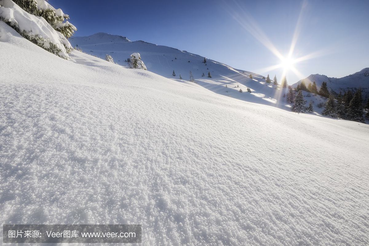 粉雪和阳光