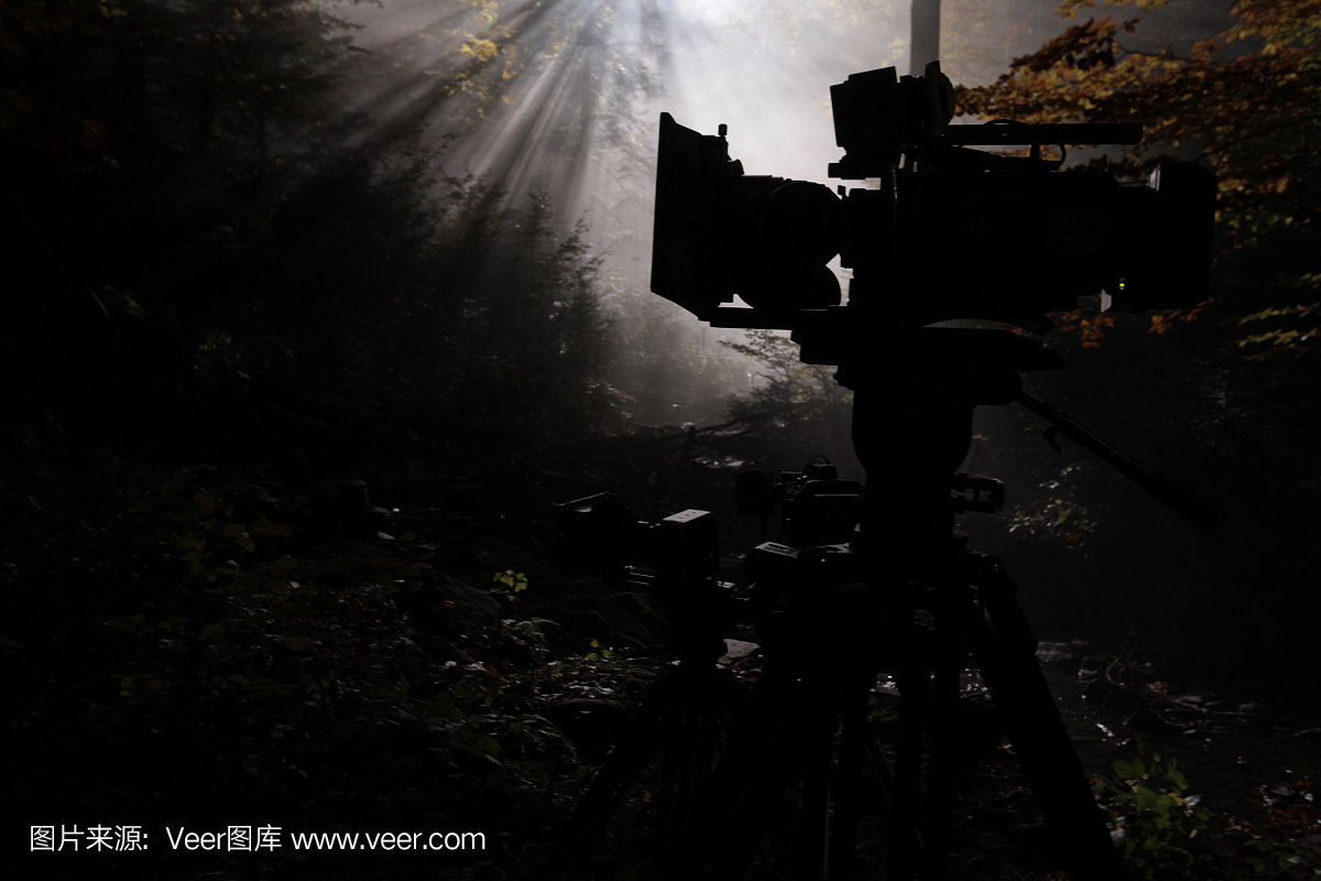 巴士,电影集,自然,人