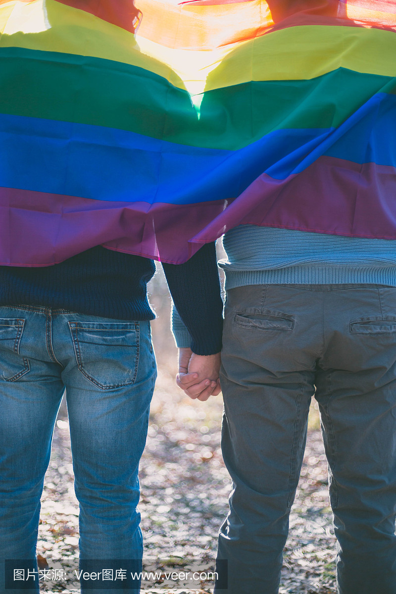 人,同性恋,同志和爱的概念 - 快乐的男同性恋夫